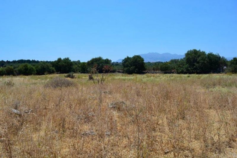 Gavalochori Kreta, Gavlochori: Grundstück mit herrlichem Berg- und Meerblick zu verkaufen Grundstück kaufen